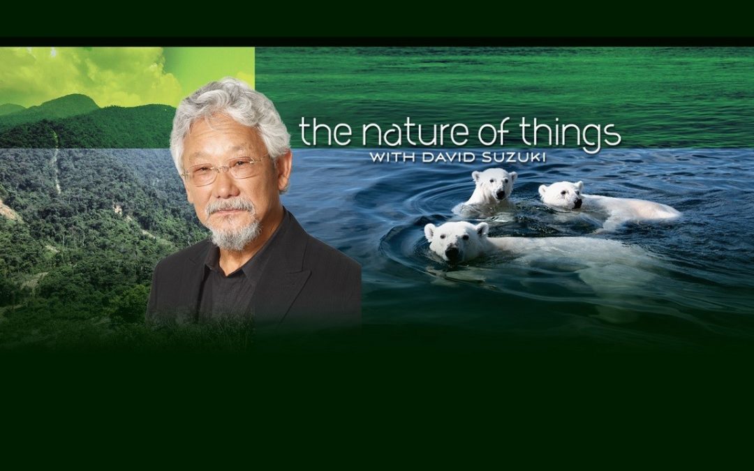 DACAPO Records ADR for Zoot Pictures “The Nature of things with David Suzuki”